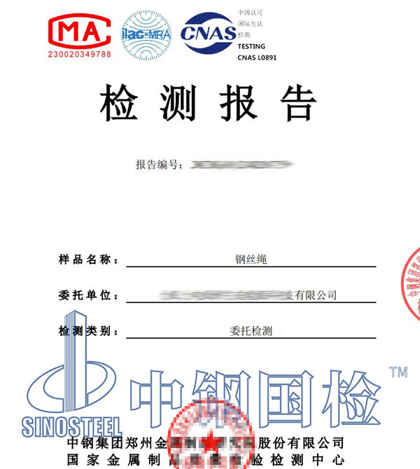 鋼絲繩檢測報告