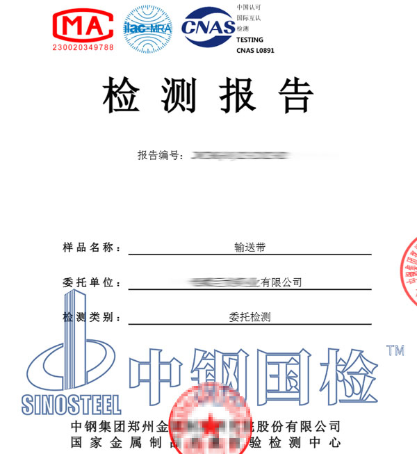 輸送帶檢測報告