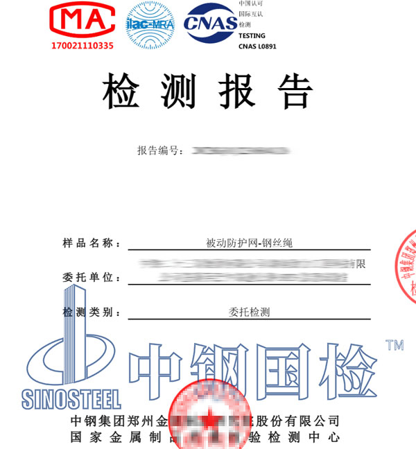 被動防護(hù)網(wǎng)檢測報告