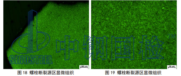 金相組織檢驗結果