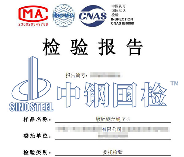 鋼絲繩無損檢測報告