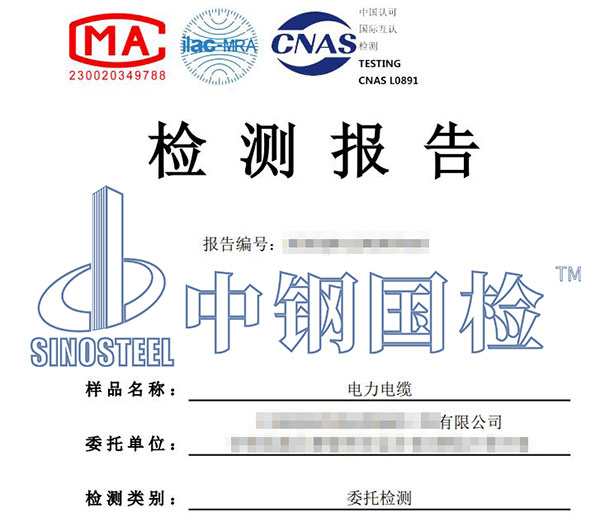 電纜線檢測報告